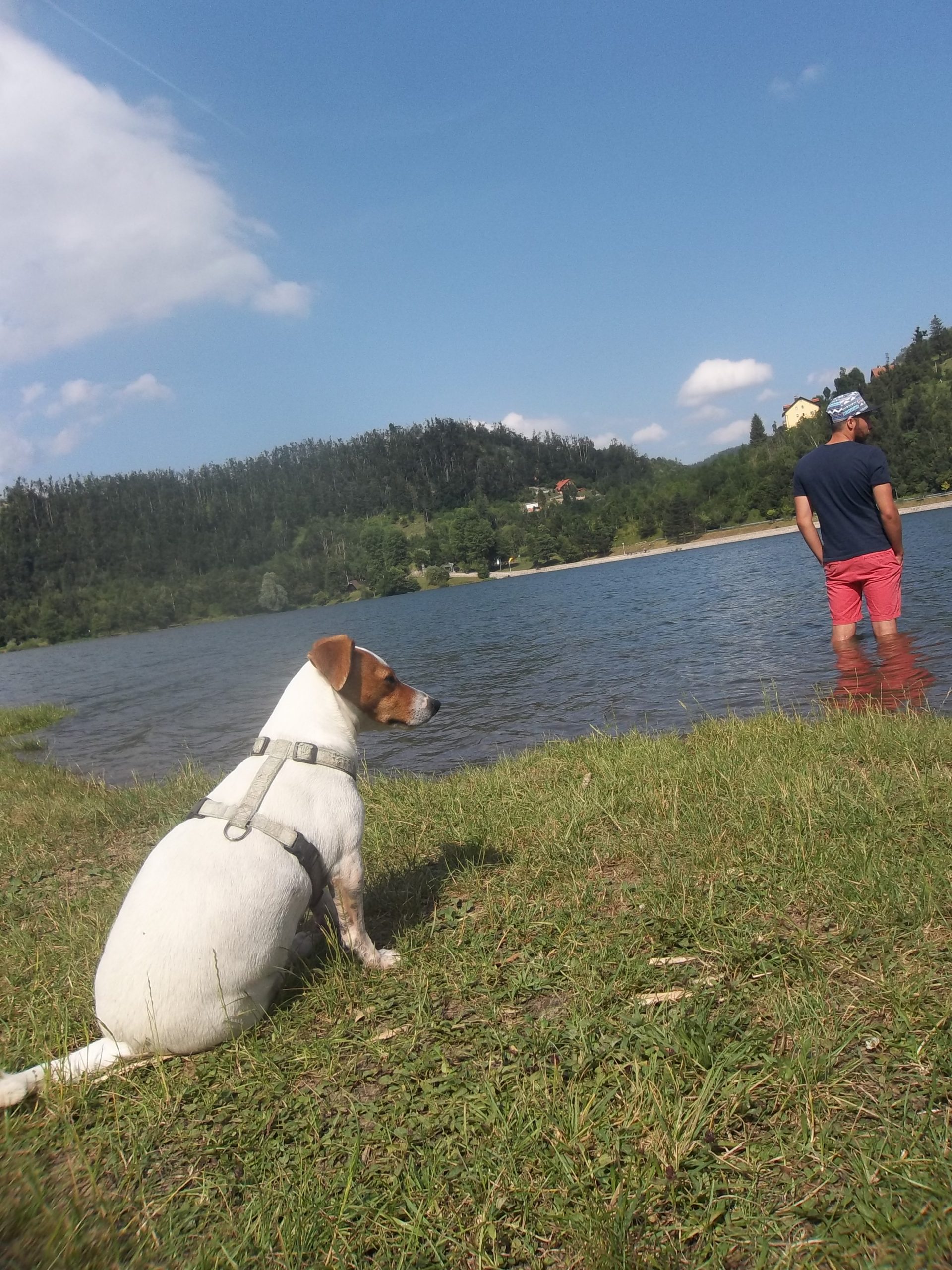 Kalina Ried Croquettes naturelles KALINA pour chiens et chats en Alsace